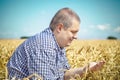 Agronomist on cereals field