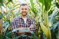 Agronomist checking corn if ready for harvest. Portrait of farmer Royalty Free Stock Photo