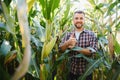 Agronomist checking corn if ready for harvest. Portrait of farmer Royalty Free Stock Photo