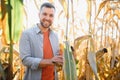 Agronomist checking corn if ready for harvest. Portrait of farmer. Royalty Free Stock Photo