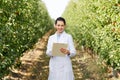 Agronomist collects data of cultivation organic fruits on eco farm Royalty Free Stock Photo