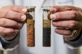 Agronomist Comparing Nutrient Rich and Depleted Soil Samples for Agricultural Analysis Royalty Free Stock Photo