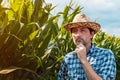 Agronomist is examining development of corn crops in cultivated field