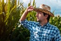 Agronomist is examining development of corn crops in cultivated field