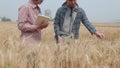 Agronomist and farmer checking data in a wheat field with a tablet and examination crop