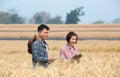 Agronomist and farmer checking data in a wheat field with a tablet and examnination crop