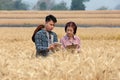 Agronomist and farmer checking data in a wheat field with a tablet and examnination crop