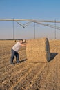 Agronomist or farmer in a field next to a straw bale