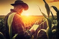 Agronomist farmer man using digital tablet computer in a young cornfield at sunset or sunrise Royalty Free Stock Photo