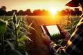 Agronomist farmer man using digital tablet computer in a young cornfield at sunset or sunrise