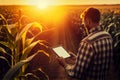 Agronomist farmer man using digital tablet computer in a young cornfield at sunset or sunrise Royalty Free Stock Photo