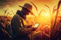 Agronomist farmer man using digital tablet computer in a young cornfield at sunset or sunrise Royalty Free Stock Photo