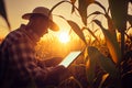 Agronomist farmer man using digital tablet computer in a young cornfield at sunset or sunrise Royalty Free Stock Photo