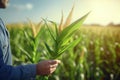 Agronomist farmer stands in a green field and examines immature green corn plants. Farmer inspects the crop. Generative AI