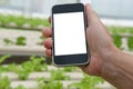 agronomist farmer using smart phone to monitor ec, pH, temperatu