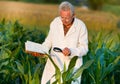 Agronomist in field Royalty Free Stock Photo