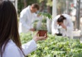 Agronomist holding seedling in flower pot in greenhouse