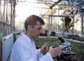 Agronomist holding sprout in flower pot in greenhouse