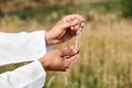 Agronomist holding test tube wheat grains in field, closeup. Cereal farming