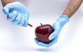 Syringe injection into a apple with sorbic acid waiting for long-term storage of fruit. Genetic modified foods. on white