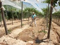 Agronomist with irrigation in ViÃÂ±a