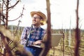 Agronomist with laptop standing in pear orchard and checking tree Royalty Free Stock Photo