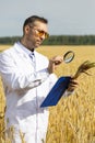 An agronomist researcher with a magnifer examines ears of wheat and makes notes on a clipboard. Vertical photo.