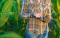 Agronomist with tablet computer in corn field Royalty Free Stock Photo