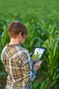 Agronomist with tablet computer in corn field