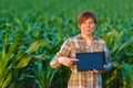 Agronomist with tablet computer in corn field Royalty Free Stock Photo