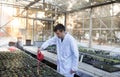 Agronomist watering plants in greenhouse