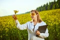 Agronomist woman or farmer examine rapeseed oil using tablet on the background of  blossoming rape canola field Royalty Free Stock Photo