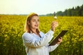 Agronomist woman or farmer examine rapeseed oil using tablet on the background of  blossoming rape canola field Royalty Free Stock Photo