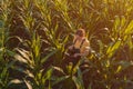 Agronomist woman using tablet computer in corn field Royalty Free Stock Photo