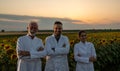 Agronomists in white coat standing in sunflower field