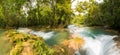 Agua Azul Panorama Royalty Free Stock Photo