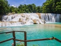 Agua Azul waterfalls in the lush rainforest of Chiapas, Mexico Royalty Free Stock Photo