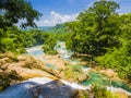 Agua Azul waterfalls in the lush rainforest of Chiapas, Mexico Royalty Free Stock Photo