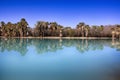 Agua Caliente Park, Tucson AZ