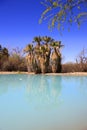 Agua Caliente Park, Tucson AZ