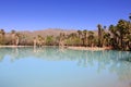 Agua Caliente Park, Tucson AZ