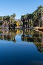 Agua Caliente Regional Park - Tucson Arizona