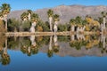 Agua Caliente Regional Park in Tucson Arizona, mirror reflection in the pond