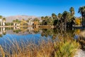 Agua Caliente Regional Park in Tucson Arizona, mirror reflection in the pond