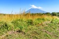 Agua volcano & grassland