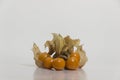 Aguaymanto - Physalis peruviana - Golden Berry still life