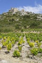 Aguilar castle over the grapes