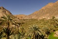 Morocco, Sousse Massa region, Aguinane oasis