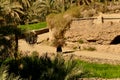 Morocco, Sousse Massa region, Aguinane oasis