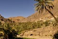 Morocco, Sousse Massa region, Aguinane oasis